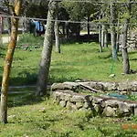 Costiolu * נואורו