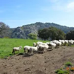 בית חווה Costiolu