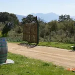 Costiolu נואורו