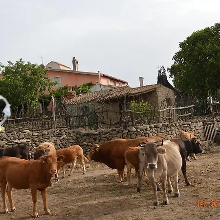 Alloggio per agriturismo Costiolu Nuoro (Sardinia)