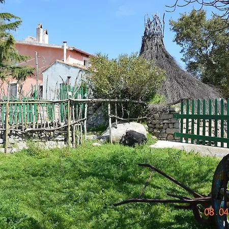Alloggio per agriturismo Costiolu *