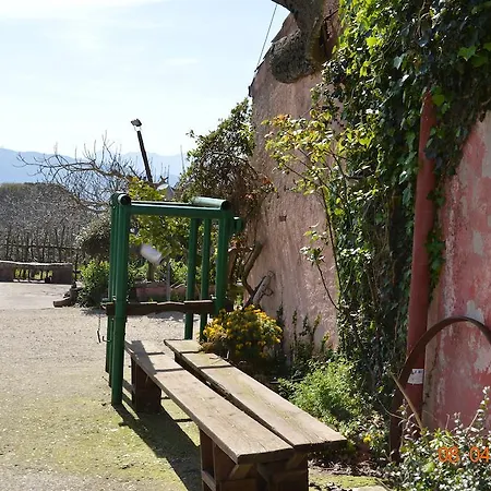 Alloggio per agriturismo Costiolu *