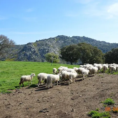 Alloggio per agriturismo Costiolu