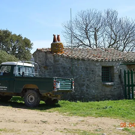 Costiolu