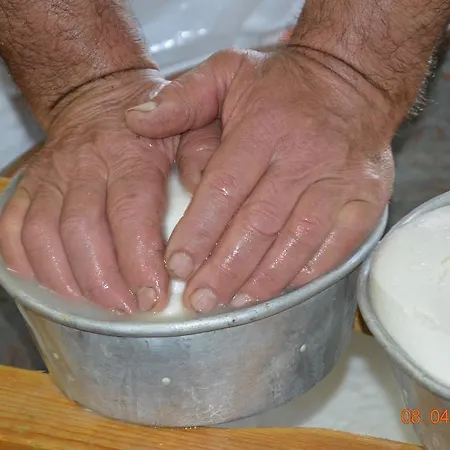 Alloggio per agriturismo Costiolu *