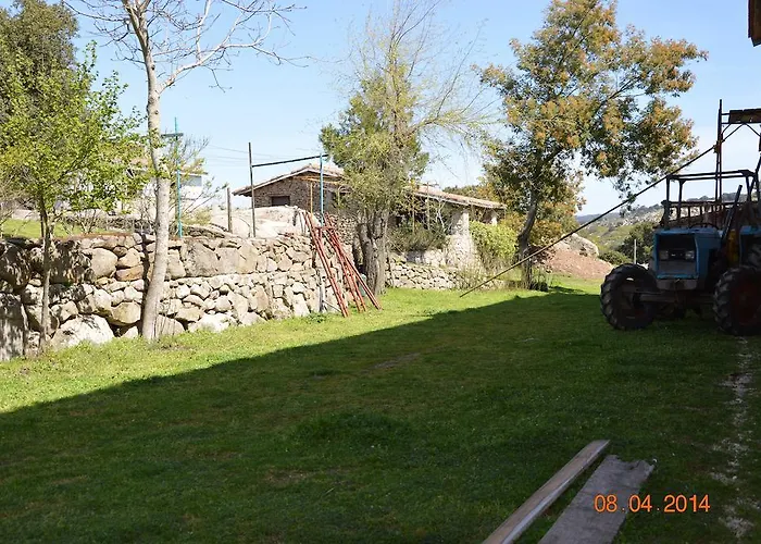 Alloggio per agriturismo Costiolu