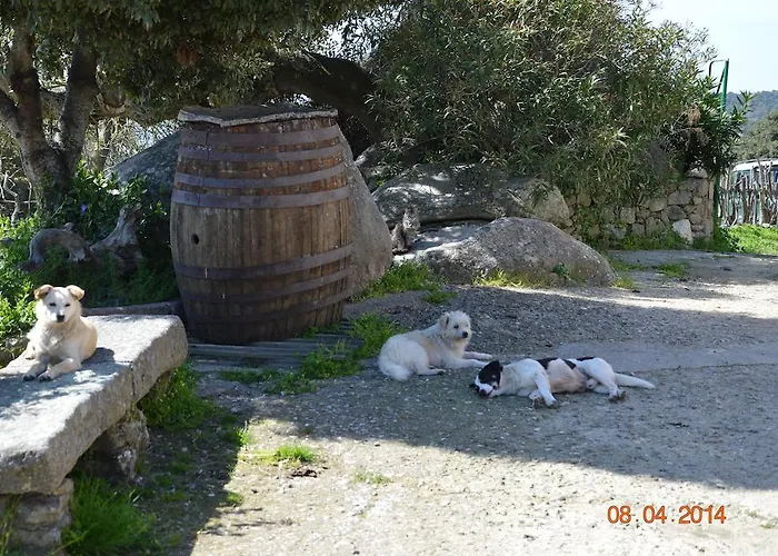 Costiolu Nuoro (Sardinia)