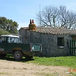 Costiolu