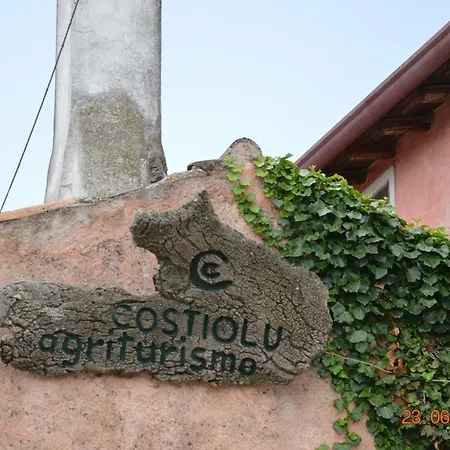 Costiolu