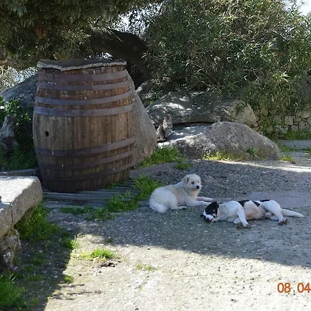 Costiolu Nuoro (Sardinia)