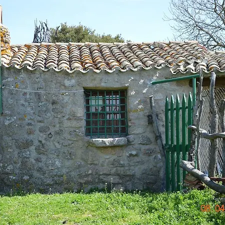 Farm stay Costiolu *