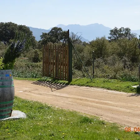 Costiolu Nuoro (Sardinia)