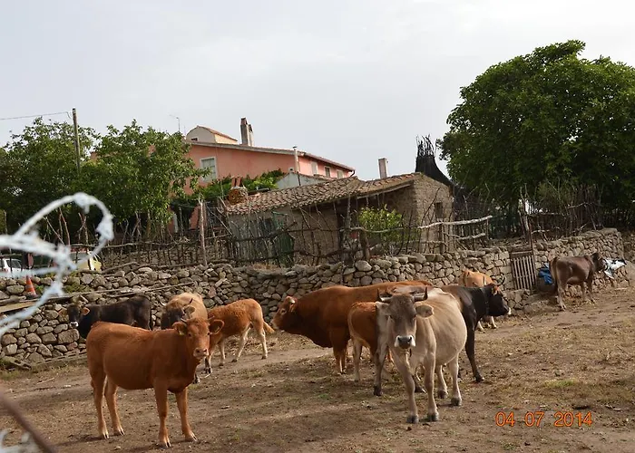 Vakantieboerderij Costiolu Nuoro (Sardinia)