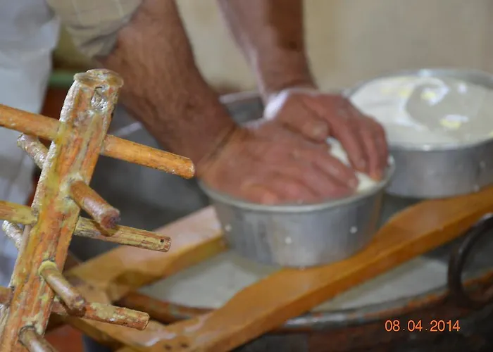 农家乐 Costiolu *