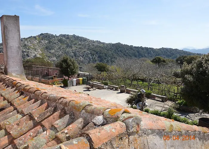 Costiolu Farm stay *