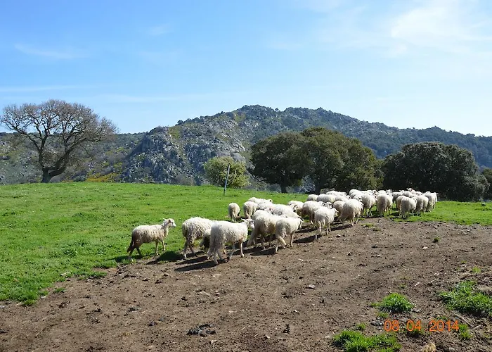 Farm stay Costiolu