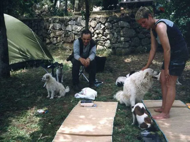 农家乐 Costiolu *